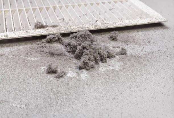 Best Local Air Duct Cleaning Services  in Henderson, TX