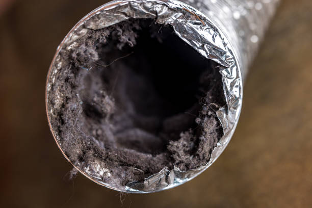 Best Ventilation Cleaning Services  in Henderson, TX